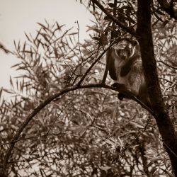 20220914  son4624 edit