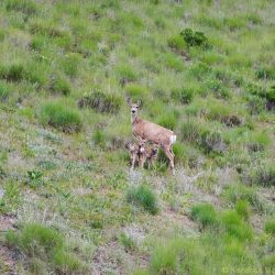 20110616  rkm9420 edit